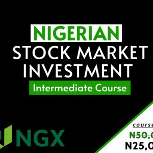 NIGERIAN SHARES AND STOCKS INVESTMENT Intermediate Class